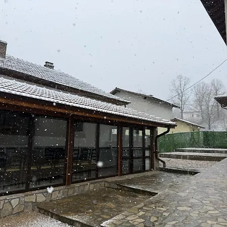 зорница Willa