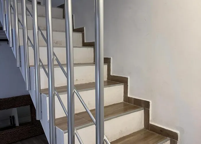 зорница Ribarica