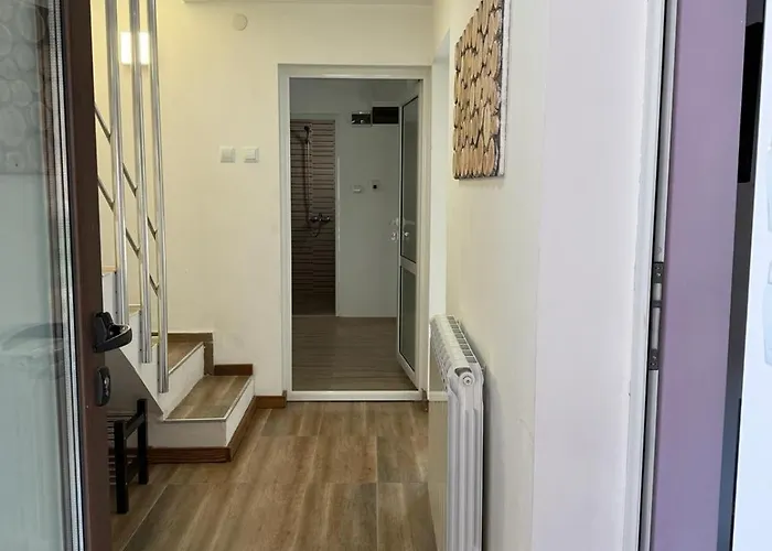 зорница * Ribarica